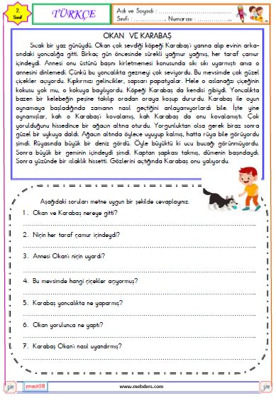 2. Sınıf Türkçe Okuma ve Anlama  Etkinliği ( Okan ve Karabaş )